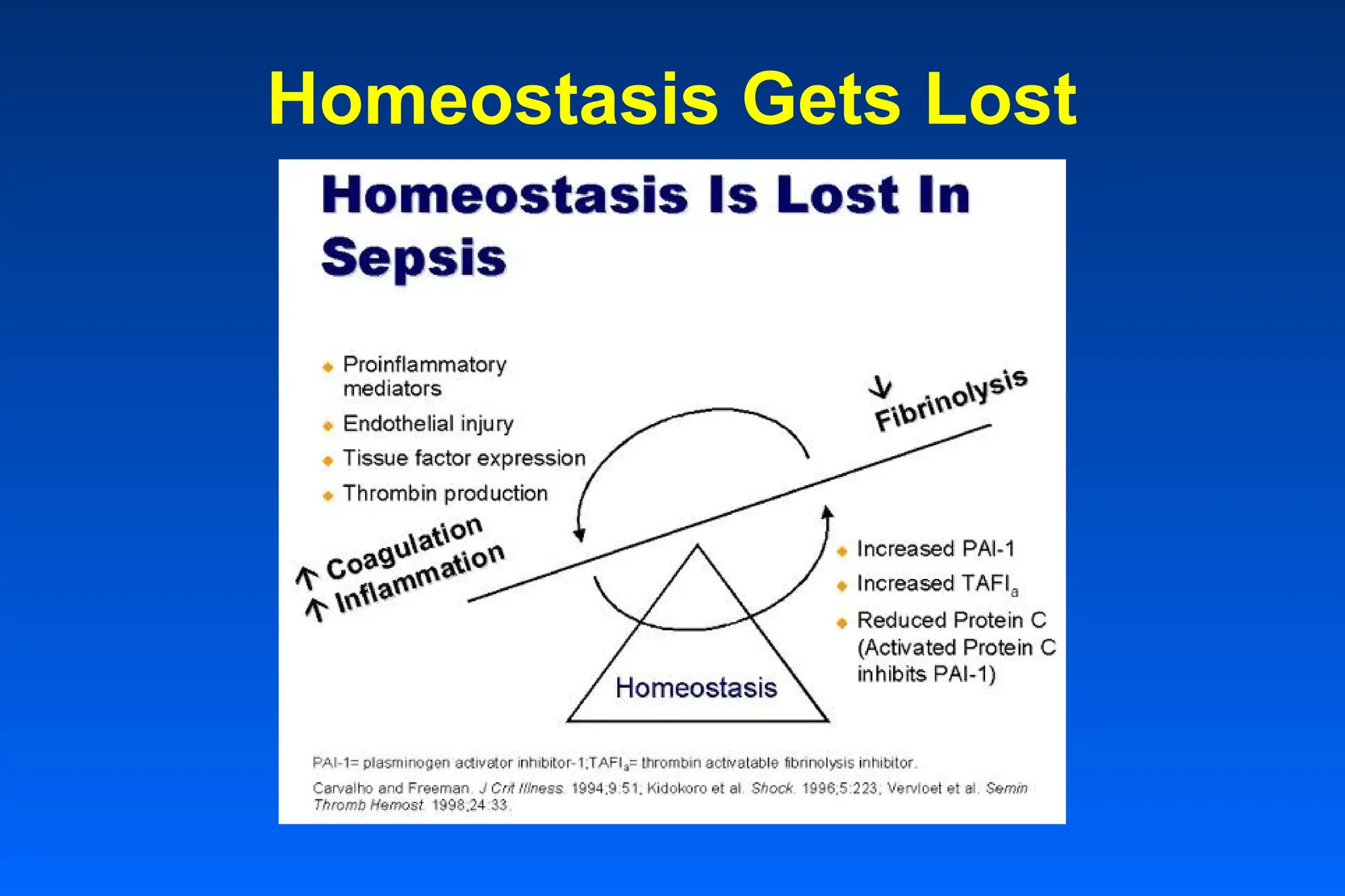 Homeostasis Gets Lost
 