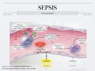 SEPSIS
                                                                  Fisiopatología




Managmente of sepsis. N Engl J Med 2006;355:1699-713.
The Pathophysiology and Treatment of Sepsis.n engl j med 348;2
 