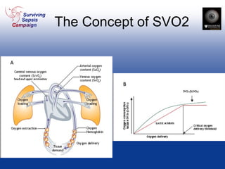 The Concept of SVO2 