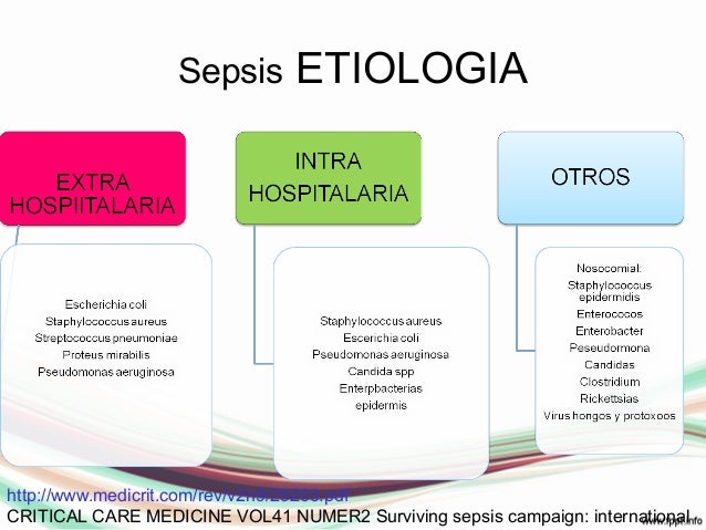 Sepsis Etiologia Sepsis Etiologia