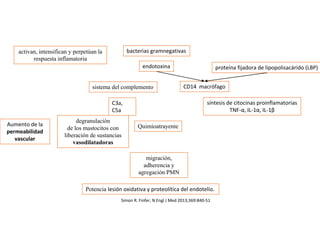bacterias gramnegativas
endotoxina proteína fijadora de lipopolisacárido (LBP)
CD14 macrófago
síntesis de citocinas proinflamatorias
TNF-α, IL-1α, IL-1β
C3a,
C5a
activan, intensifican y perpetúan la
respuesta inflamatoria
sistema del complemento
Aumento de la
permeabilidad
vascular
degranulación
de los mastocitos con
liberación de sustancias
vasodilatadoras
Quimioatrayente
migración,
adherencia y
agregación PMN
Potencia lesión oxidativa y proteolítica del endotelio.
Simon R. Finfer, N Engl J Med 2013;369:840-51
 