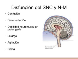 Disfunción del SNC y N-M
• Confusión
• Desorientación
• Debilidad neuromuscular
prolongada
• Letargo
• Agitación
• Coma
 