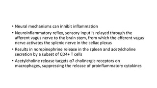 • Neural mechanisms can inhibit inflammation
• Neuroinflammatory reflex, sensory input is relayed through the
afferent vagus nerve to the brain stem, from which the efferent vagus
nerve activates the splenic nerve in the celiac plexus
• Results in norepinephrine release in the spleen and acetylcholine
secretion by a subset of CD4+ T cells
• Acetylcholine release targets α7 cholinergic receptors on
macrophages, suppressing the release of proinflammatory cytokines
 