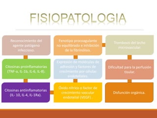 Reconocimiento del
agente patógeno
infeccioso.
Citosinas proinflamatorias
(TNF-a, IL-1b, IL-6, IL-8).
Citosinas antiinflamatorias
(IL- 10, IL-4, IL-1Ra).
Fenotipo procoagulante
no equilibrado e inhibición
de la fibrinólisis.
Trombosis del lecho
microvascular.
Expresión de moléculas de
adhesión y factores de
crecimiento por células
endoteliales.
Dificultad para la perfusión
tisular.
Óxido nítrico o factor de
crecimiento vascular
endotelial (VEGF) .
Disfunción orgánica.
 