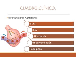 MANIFESTACIONES PULMONARES
CUADRO CLÍNICO.
SDRA
IPA
Hipoxemia
Hiperventilación
Taquipnea
 