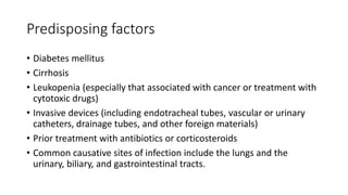 Predisposing factors
• Diabetes mellitus
• Cirrhosis
• Leukopenia (especially that associated with cancer or treatment with
cytotoxic drugs)
• Invasive devices (including endotracheal tubes, vascular or urinary
catheters, drainage tubes, and other foreign materials)
• Prior treatment with antibiotics or corticosteroids
• Common causative sites of infection include the lungs and the
urinary, biliary, and gastrointestinal tracts.
 