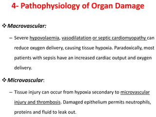4- Pathophysiology of Organ Damage
Macrovascular:
– Severe hypovolaemia, vasodilatation or septic cardiomyopathy can
reduce oxygen delivery, causing tissue hypoxia. Paradoxically, most
patients with sepsis have an increased cardiac output and oxygen
delivery.
Microvascular:
– Tissue injury can occur from hypoxia secondary to microvascular
injury and thrombosis. Damaged epithelium permits neutrophils,
proteins and fluid to leak out.
 