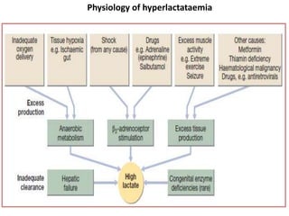Physiology of hyperlactataemia
 