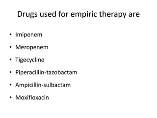 Drugs used for empiric therapy are
• Imipenem
• Meropenem
• Tigecycline
• Piperacillin-tazobactam
• Ampicillin-sulbactam
• Moxifloxacin
 
