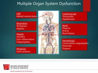 Multiple Organ System Dysfunction
Cardiovascular
Tachycardia
Hypotension
Renal
Oliguria
Anuria
Renal failure
Hematologic
Consumptive coagulopathy
Petechiae
Purpura
CNS
Altered mental status
Respiratory
Tachypnea
Hypoxia
Hepatic
Jaundice
Liver inflammation
Coagulopathy
Metabolic
Lactic acidosis
 