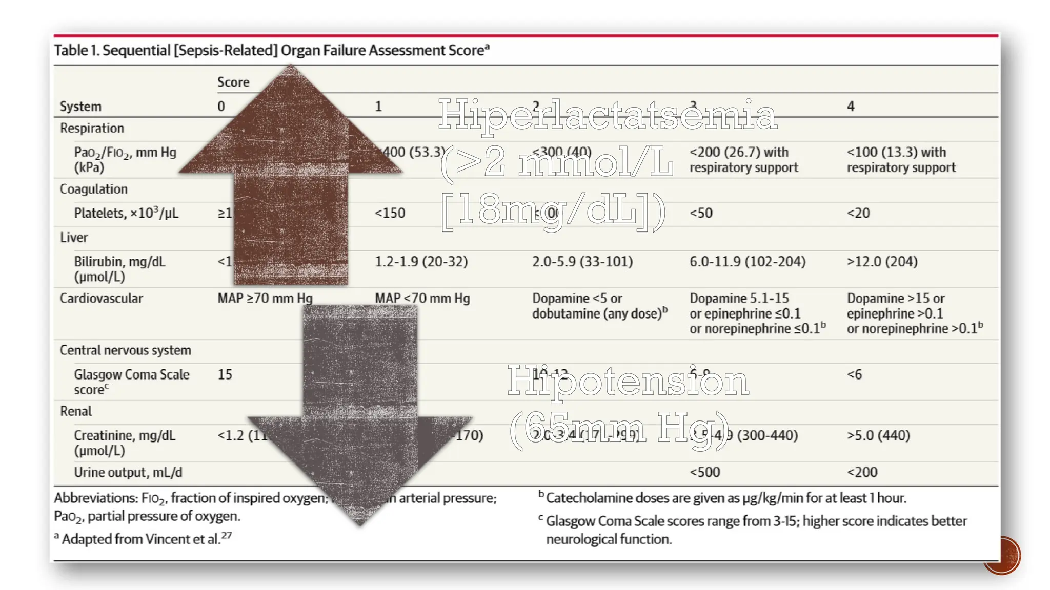 NEW TERMS AND DEFINTIONS
SEPSIS: life-threatening organ dysfunction caused by a dysregulated host response to infection -when the
body’s response to an infection injures its own tissues and organs-.
ORGAN DYSFUNCTION: Acute change in total SOFA score ≥ 2 points consequent to the infection
(mortality risk of approximately 10%).. Future iterations of the sepsis definitions should include an
updated SOFA score with more optimal variable selection, cutoff values, and weighting,or a superior
scoring system.
qSOFA: Alteration in mental status, systolic blood pressure ≤100mmHg, or respiratory rate ≥ 22/min. The
task forcé suggests that qSOFAcriteria be used to prompt clinicians to further investigate for organ
dysfunction, to initiate or escalate therapy as appropriate, and to consider referral to critical care or
increase the frequency of monitoring.
SEPTIC SHOCK is defined as a subset of sepsis in which underlying circulatory and celular metabolism
abnormalities are profound enough to substantially increase mortality.
Hiperlactatsemia
(>2 mmol/L
[18mg/dL])
Hipotension
(65mm Hg)
 
