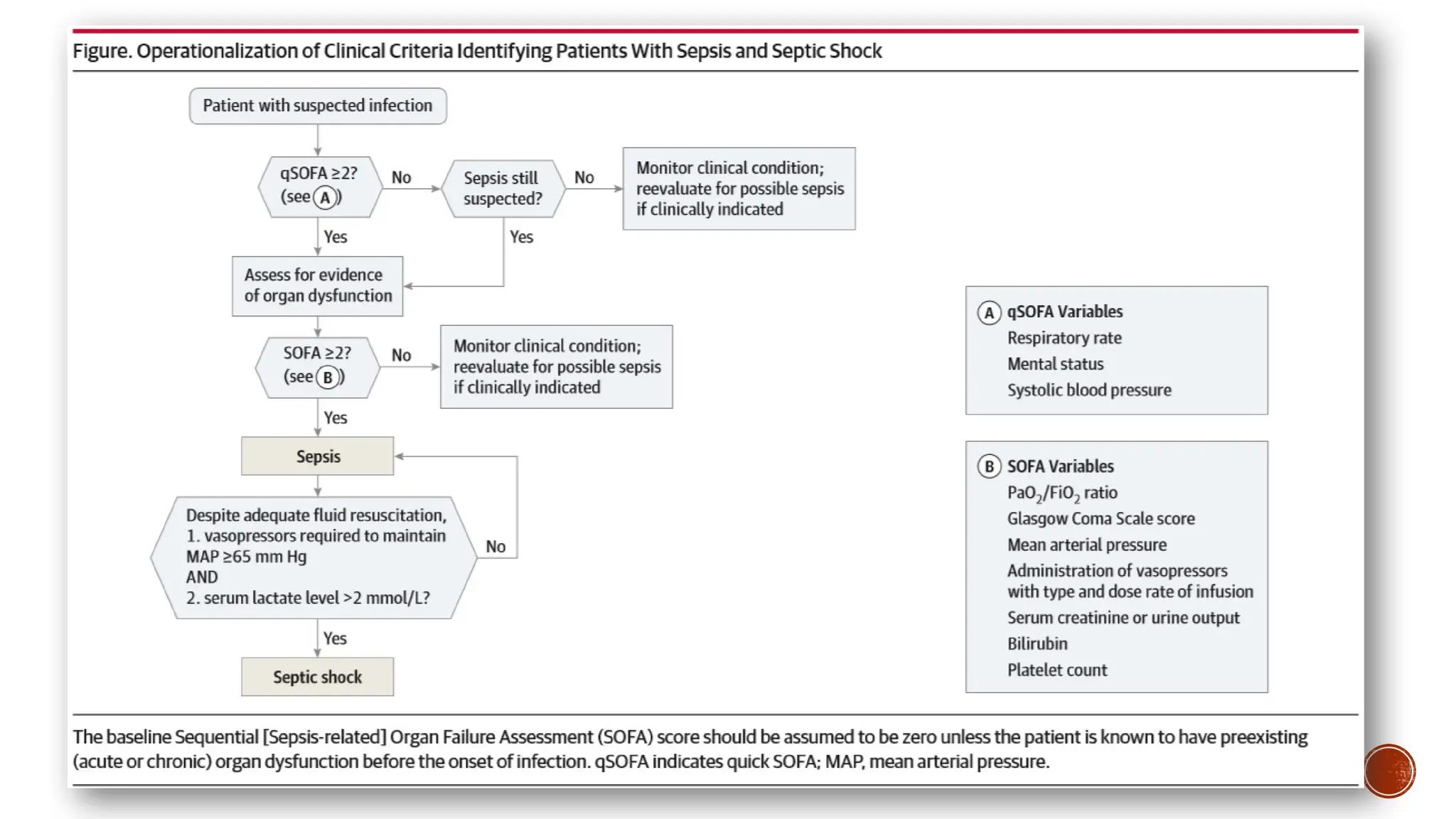 Survival Sepsis 3, conceptos basicos y protocolo