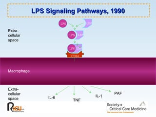 LPS LBP LBP LPS LBP Extra- cellular space Macrophage Extra- cellular space LPS CD14 TNF  PAF IL-6 IL-1  LPS Signaling Pathways, 1990 