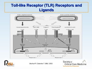 Toll-like Receptor (TLR) Receptors and Ligands Bochud P, Calandra T. BMJ. 2003. 