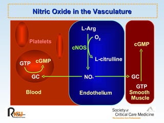 GTP cGMP Blood Endothelium Smooth Muscle GTP cGMP GC L-Arg O 2 L-citrulline GC NO . cNOS Platelets Nitric Oxide in the Vasculature 