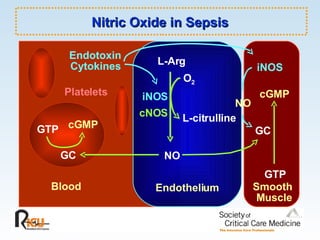 GTP cGMP Blood Endothelium Smooth Muscle GTP cGMP GC L-Arg O 2 L-citrulline GC NO iNOS Platelets iNOS cNOS Endotoxin Cytokines NO Nitric Oxide in Sepsis 