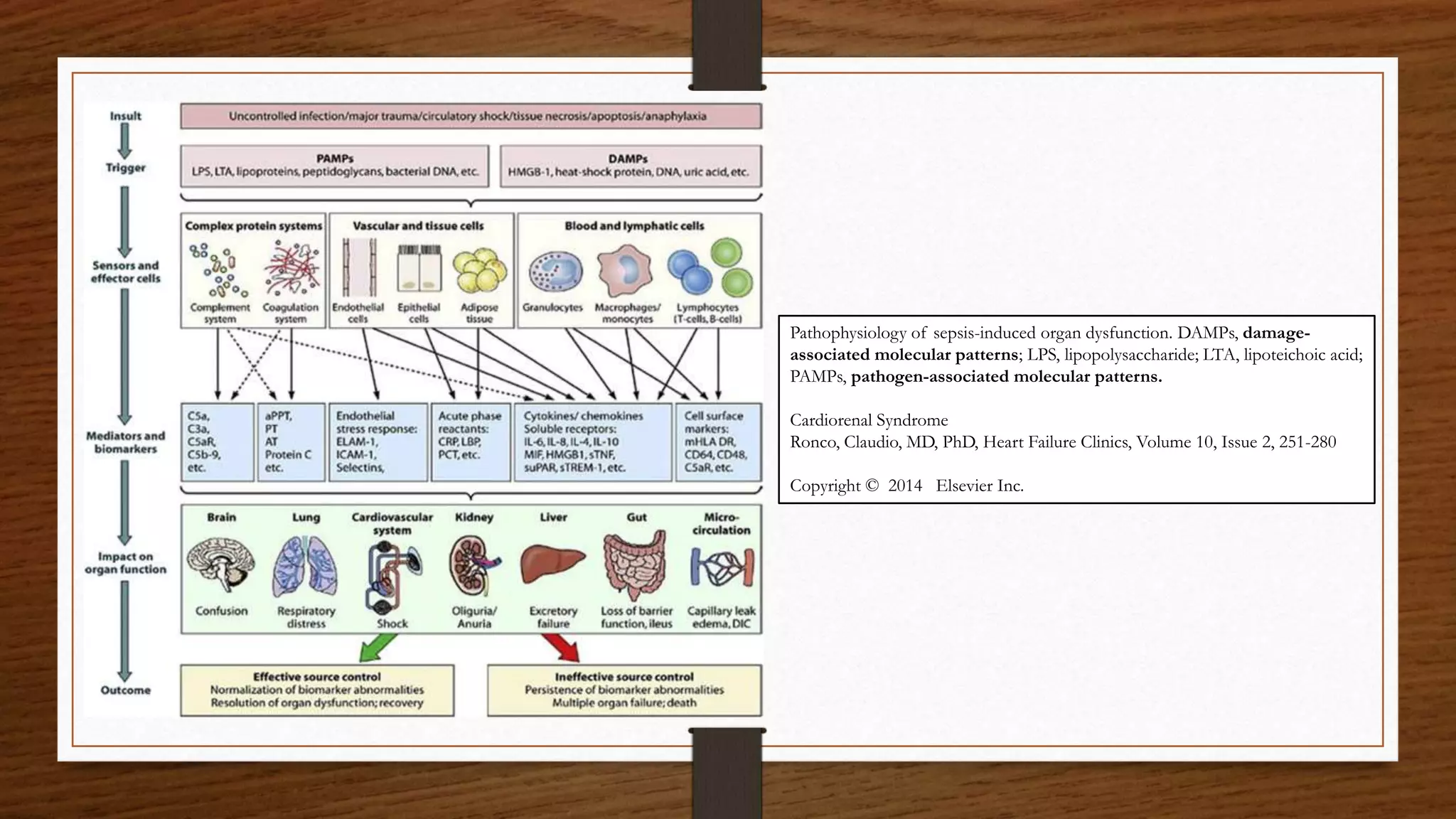 Pathophysiology of sepsis-induced organ dysfunction. DAMPs, damage-
associated molecular patterns; LPS, lipopolysaccharide; LTA, lipoteichoic acid;
PAMPs, pathogen-associated molecular patterns.
Cardiorenal Syndrome
Ronco, Claudio, MD, PhD, Heart Failure Clinics, Volume 10, Issue 2, 251-280
Copyright © 2014 Elsevier Inc.
 