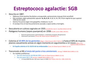 Estreptococo agalactie: SGB
• Descrito en 1887.
– Diplococo Gram positivo facultativo y encapsulado, perteneciente al grupo B de Lancefield.
– Diez serotipos según polisacárido capsular: Ia, Ib, II, III, IV, V, VI, VII, VIII, IX (en negrita los que suponen
>95% de los casos)
– Distinta frecuencia según área geográfica: Andalucía: Ia y III.
– El serotipo III es el más frecuentemente asociado a sepsis tardía y meningitis.
• Descubierto en cultivos vaginales en 1935(Lancefield RC, Hare R. J Exp Med 1935;61:335-49).
• Patógeno humano (sepsis puerperal) en 1938 (Fry RM. Lancet 1938;1:199-201).
– Reservorio genitourinario o gastrointestinal  tratamiento intraparto, NO gestacional.
– Colonización intermitente (Yancey, MK. Obstet Gynecol 1996;88:811-15).
• Coloniza al 10-40% de las gestantes (Regan J. Obstet Gynecol 1991;77:604-10) y hasta el 60% de mujeres
jóvenes sexualmente activas en algún momento en seguimientos a 12 meses.(Meyn. Am J
Epidemiol 2002;155:949-57)
– En España coloniza al 11-18.2% de las embarazadas (Cueto, M. Obstet Gynecol 1998;91:112-14).
• Transmisión al RN al inicio del parto o tras amniorrexis. (Schrag, S. MMWR 2002;51(RR11):1-22).
– Sin medidas profilácticas:
• Tasa de colonización del RN del 50% (Cueto, M. Obstet Gynecol 1998;91:112-14).
• Tasa de sepsis del 1-3% (Schrag, S. MMWR 2002;51(RR11):1-22).
– 1-4 casos/1000 RN vivos. Diez veces mayor en VLBW (Stoll. Pediatr Infect Dis J. 2005; 24:635-39).
 