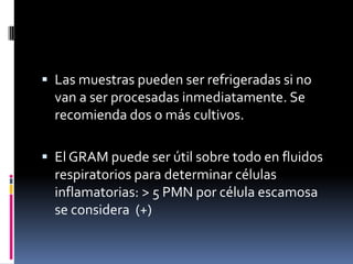  Las muestras pueden ser refrigeradas si no
van a ser procesadas inmediatamente. Se
recomienda dos o más cultivos.
 El GRAM puede ser útil sobre todo en fluidos
respiratorios para determinar células
inflamatorias: > 5 PMN por célula escamosa
se considera (+)
 