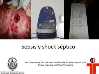 Sepsis y shock séptico
MV Javier Mouly. FCV UNLP Hospital Escuela. Sociedad Argentina de
Terapia Intensiva. (SATI) Cap Veterinario
 