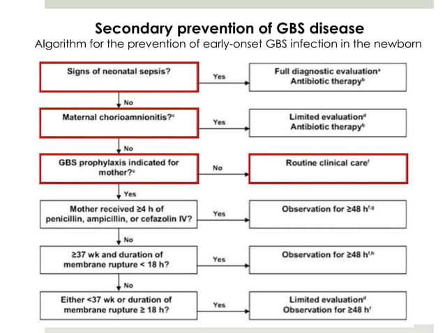 Neonatal Sepsis AAP 2013 | PPT