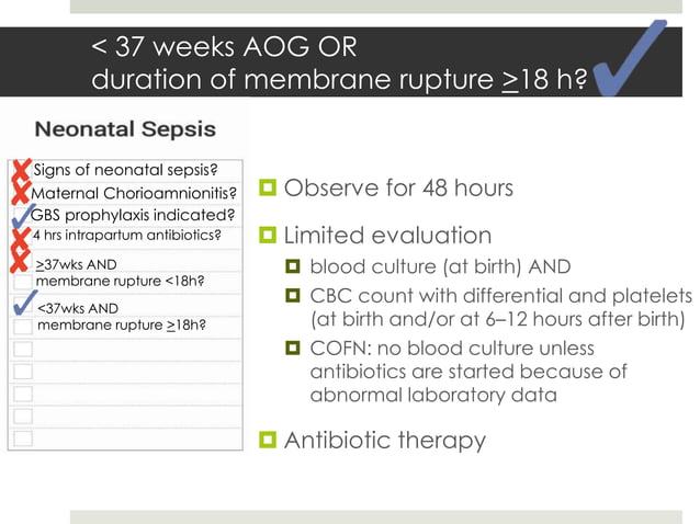 Neonatal Sepsis AAP 2013 | PPT