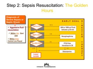 Step 2: Sepsis Resuscitation:  The Golden Hours 