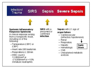 Sepsis Classification Sepsis and septic shock | PPT