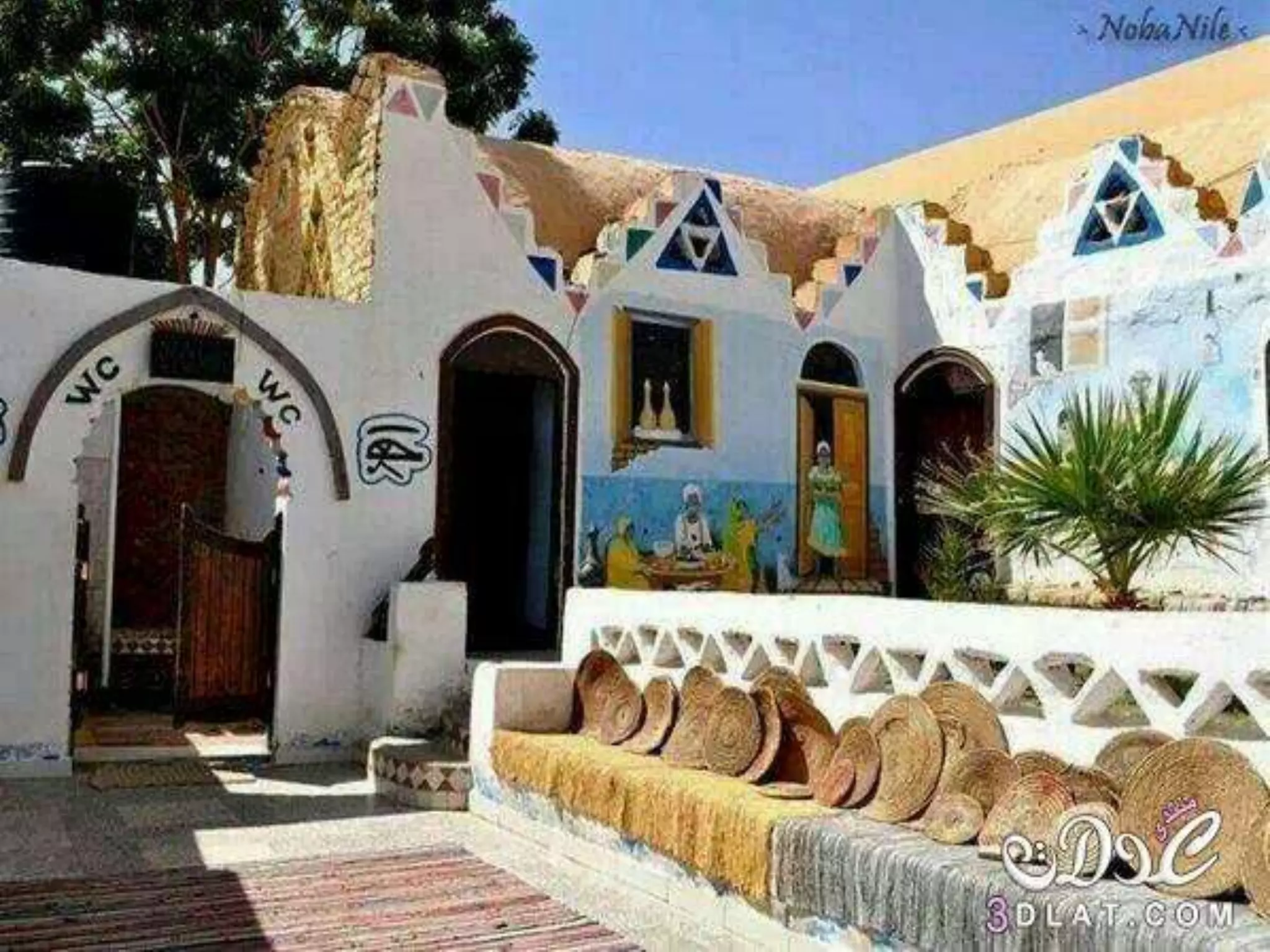 Sepsis  and septic shock guidelines