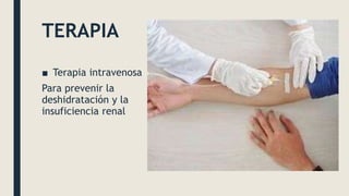 TERAPIA
■ Terapia intravenosa
Para prevenir la
deshidratación y la
insuficiencia renal
 