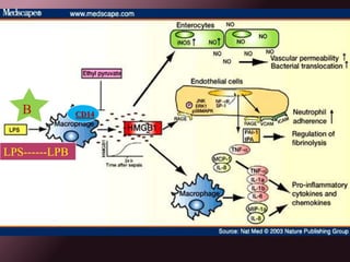 Sisto / diastolicaSHOCKPerkins 1992: Estado agudo  complejo de disfunción  circulatoria. Inhabilidad de  trasporte de  O2 y nutrientes.No  suple demandas  nutricionales.Agotamiento de  reservas  fisiológicas.Lesión orgánica.