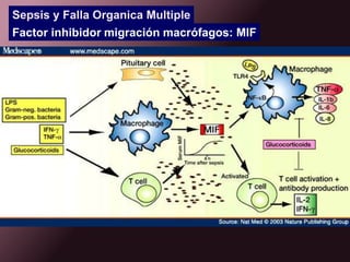 FISIOPATOLOGIALiberación de  mediadores  bacterianos  como  LPS. (Endotoxina).
