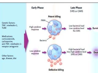 FNT,  IL10, LI6, IL1