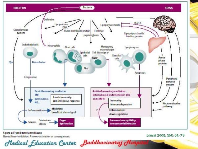 Sepsis easy: strategy to improve outcome