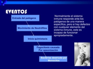 EVENTOS
                                        Normalmente el sistema
  Entrada del patógeno                 inmune responde ante los
                                       patógenos de una manera
                                       específica, pero si hay defectos
      Movimiento de Neutrófilos        con cualquier elemento del
                                       sistema inmune, este es
                                       incapaz de funcionar
                                       apropiadamente.
               Inicia quimiotaxis


                         Fagocitosis causada
                          Por opsonización


                            Bacterias destriuda por
                                  Monocitos
 