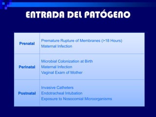 ENTRADA DEL PATÓGENO

            Premature Rupture of Membranes (>18 Hours)
Prenatal
            Maternal Infection


            Microbial Colonization at Birth
Perinatal   Maternal Infection
            Vaginal Exam of Mother


            Invasive Catheters
Postnatal   Endotracheal Intubation
            Exposure to Nosocomial Microorganisms
 