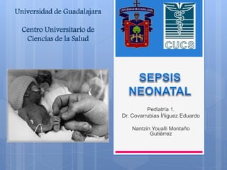 Pediatría 1.
Dr. Covarrubias Íñiguez Eduardo
Nantzin Youalli Montaño
Gutiérrez
Universidad de Guadalajara
Centro Universitario de
Ciencias de la Salud
 