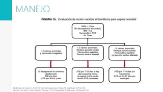 MANEJO
Modificado de Gerdes JS, Polin RA: Neonatal septicemia. En Burg FD, Ingelfinger JR, Polin RA,
Gerschon AA (eds): Current Pediatric Therapy, 17 Ed. Philadelphia, W.B.Saunders, 2002,pp347-351.
 