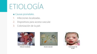 ■ Causas posnatales.
1. Infecciones localizadas.
2. Dispositivos para acceso vascular.
3. Colonización de la piel.
Acceso vascular Colonizacion de
la piel
Infeccion localizada
ETIOLOGÍA
 
