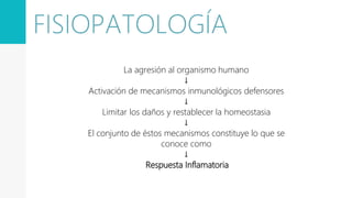 La agresión al organismo humano
↓
Activación de mecanismos inmunológicos defensores
↓
Limitar los daños y restablecer la homeostasia
↓
El conjunto de éstos mecanismos constituye lo que se
conoce como
↓
Respuesta Inflamatoria
FISIOPATOLOGÍA
 