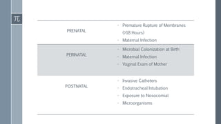 PRENATAL
- Premature Rupture of Membranes
(>18 Hours)
- Maternal Infection
PERINATAL
- Microbial Colonization at Birth
- Maternal Infection
- Vaginal Exam of Mother
POSTNATAL
- Invasive Catheters
- Endotracheal Intubation
- Exposure to Nosocomial
- Microorganisms
 