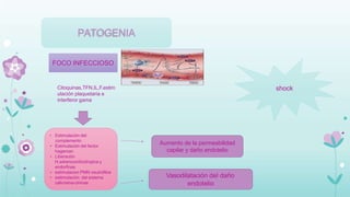 PATOGENIA
• Estimulación del
complemento
• Estimulación del factor
hageman
• Liberación
H.adrenocorticotropica y
endorfinas
• estimulacion PMN neutrófilos
• estimulación del sistema
calicreina-cininas
FOCO INFECCIOSO
Citoquinas,TFN,IL,F.estim
ulación plaquetaria e
interferor gama
Aumento de la permeabilidad
capilar y daño endotelio
Vasodilatación del daño
endotelio
shock
 