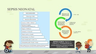 SEPSIS NEONATAL
•1 FR + 1SC
RIESGO DE
INFECCIÓN
•+ alteraciones
analíticas de
sospecha
INFECCIÓN
NEONATAL
PROBABLE
•1 o más cultivos
control (+)
INFECCIÓN
NEONATAL
CIERTA
SEPSIS CLÍNICA: Signos (+)
Cultivos (-). Probablemente por
virosis sistémica o porque la madre
recibió ATB previo
 