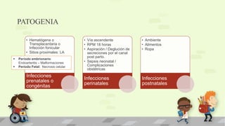 PATOGENIA
• Hematógena o
Transplacentaria o
Infección fonicular
• Sitios proximales: LA
Infecciones
prenatales o
congénitas
• Vía ascendente
• RPM 18 horas
• Aspiración / Deglución de
secreciones por el canal
post parto.
• Sepsis neonatal /
Complicaciones
obstétricas
Infecciones
perinatales
• Ambiente
• Alimentos
• Ropa
Infecciones
postnatales
 Período embrionario:
Endoarteritis – Malformaciones
 Período Fetal: Necrosis celular
 