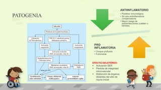 PATOGENIA
ANTIINFLAMATORIO
• Parálisis inmunológica
• Sd rpta antiinflamatoria
compensatoria
• Mayor riesgo de
sobreinfecciones (catéter o
heridas)
PRO
INFLAMATORIA
• Choque profundo
• Fulminante
EFECTO DELETÉREO:
 Activación SER
 Pérdida de integridad
microvascular
 Disfunción de órganos
distantes del sitio de
injuria inicial
 