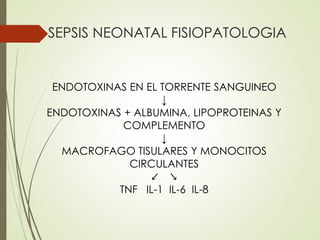 SEPSIS NEONATAL FISIOPATOLOGIA
ENDOTOXINAS EN EL TORRENTE SANGUINEO
↓
ENDOTOXINAS + ALBUMINA, LIPOPROTEINAS Y
COMPLEMENTO
↓
MACROFAGO TISULARES Y MONOCITOS
CIRCULANTES
↙ ↘
TNF IL-1 IL-6 IL-8
 