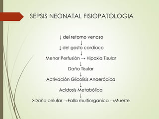 SEPSIS NEONATAL FISIOPATOLOGIA
↓ del retorno venoso
↓
↓ del gasto cardiaco
↓
Menor Perfusión → Hipoxia Tisular
↓
Daño Tisular
↓
Activación Glicolisis Anaeróbica
↓
Acidosis Metabólica
↓
˃Daño celular →Falla multiorganica →Muerte
 