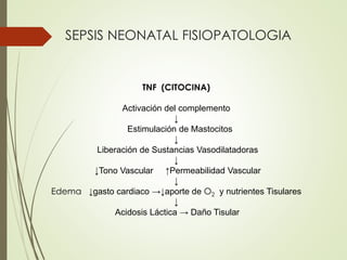 SEPSIS NEONATAL FISIOPATOLOGIA
TNF (CITOCINA)
Activación del complemento
↓
Estimulación de Mastocitos
↓
Liberación de Sustancias Vasodilatadoras
↓
↓Tono Vascular ↑Permeabilidad Vascular
↓
Edema ↓gasto cardiaco →↓aporte de O2 y nutrientes Tisulares
↓
Acidosis Láctica → Daño Tisular
 