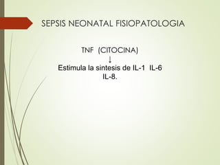 SEPSIS NEONATAL FISIOPATOLOGIA
TNF (CITOCINA)
↓
Estimula la sintesis de IL-1 IL-6
IL-8.
 