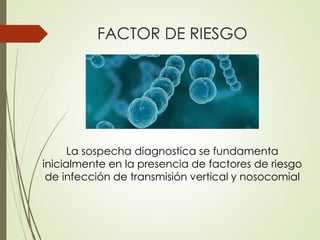 FACTOR DE RIESGO
La sospecha diagnostica se fundamenta
inicialmente en la presencia de factores de riesgo
de infección de transmisión vertical y nosocomial
 